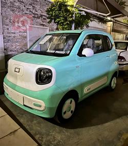 بيستون بوني